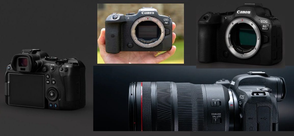 Is the Canon R6 a Professional Camera?