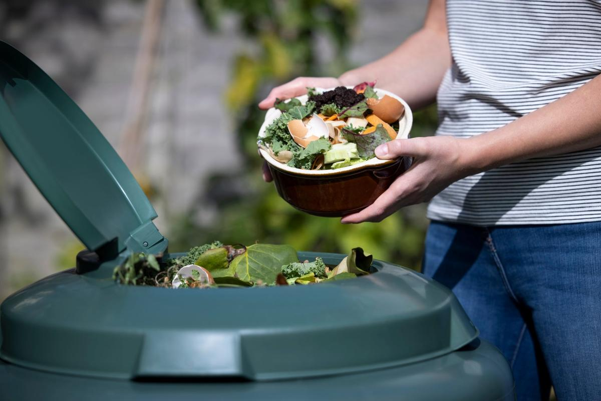 What Steps Restaurants Can Take To Cut Food Waste?