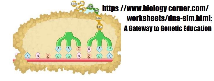 https //www.biology corner.com/ worksheets/dna-sim.html: A Gateway to Genetic Education